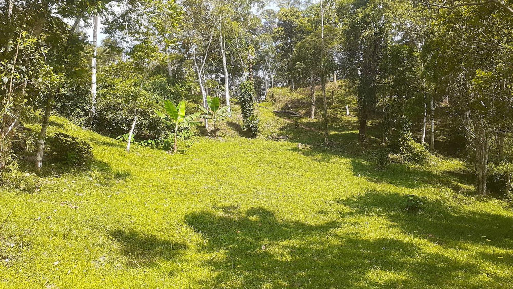 Kitnet Em Meio A Mata Atlantica Juquitiba Exteriér fotografie
