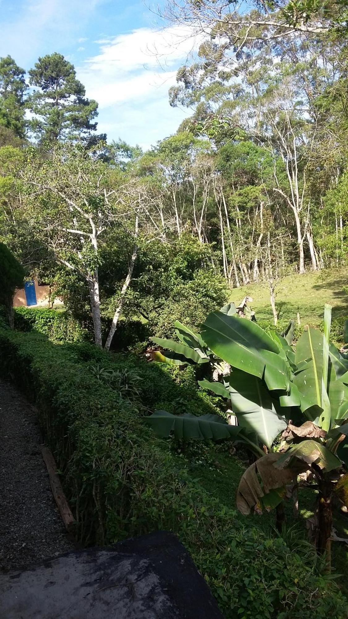 Kitnet Em Meio A Mata Atlantica Juquitiba Exteriér fotografie